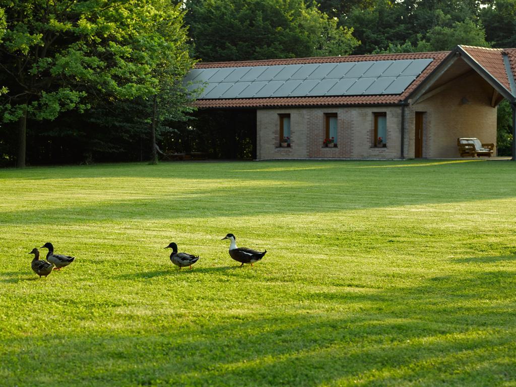 Relais Agrituristico Ormesani Villa San Liberale Eksteriør billede