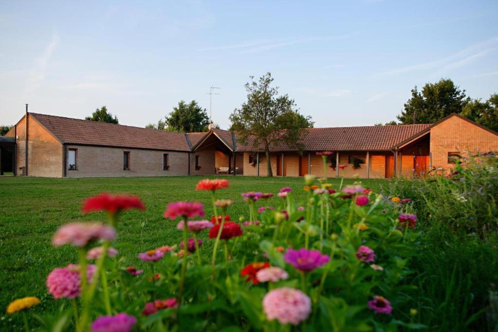 Relais Agrituristico Ormesani Villa San Liberale Eksteriør billede