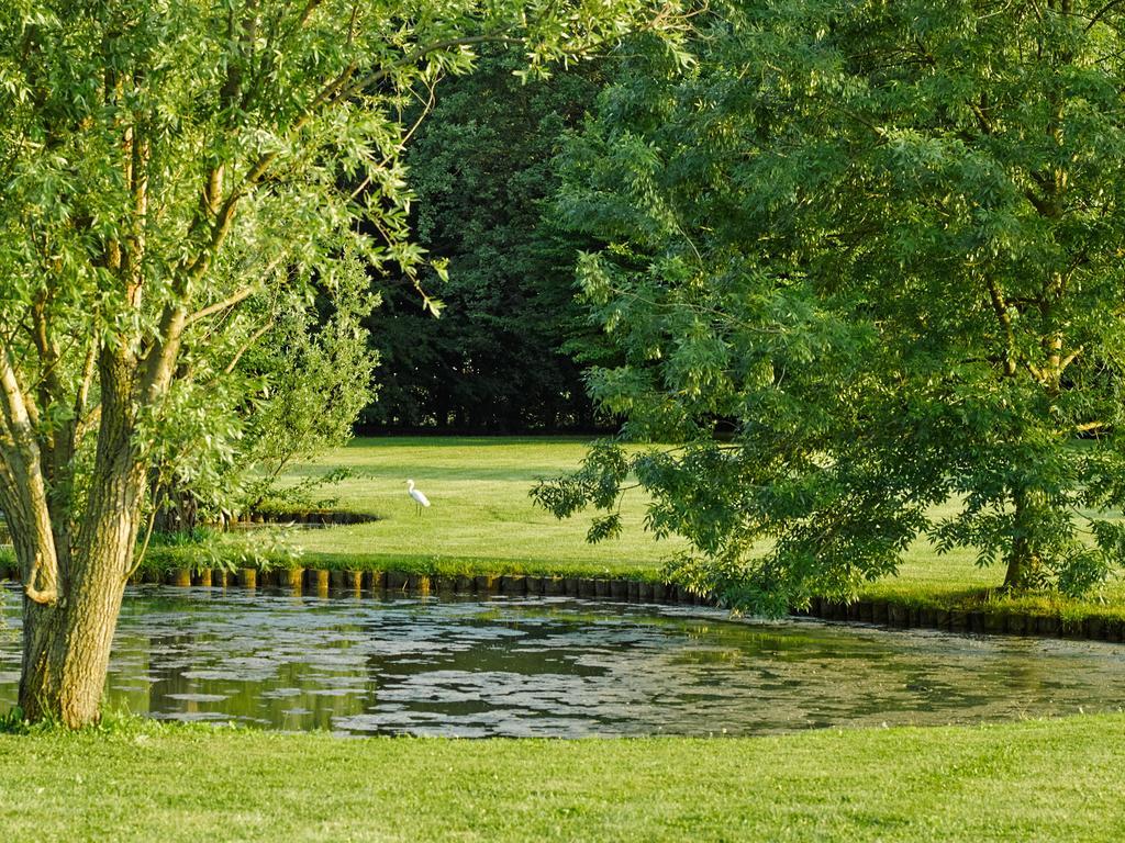Relais Agrituristico Ormesani Villa San Liberale Eksteriør billede